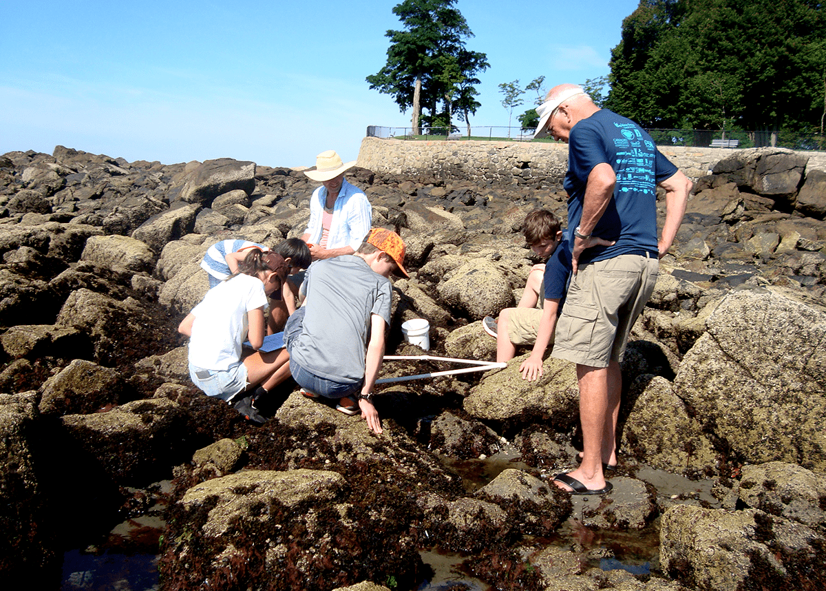 A group of people study marine invaders at a tide pool at Lynch Park