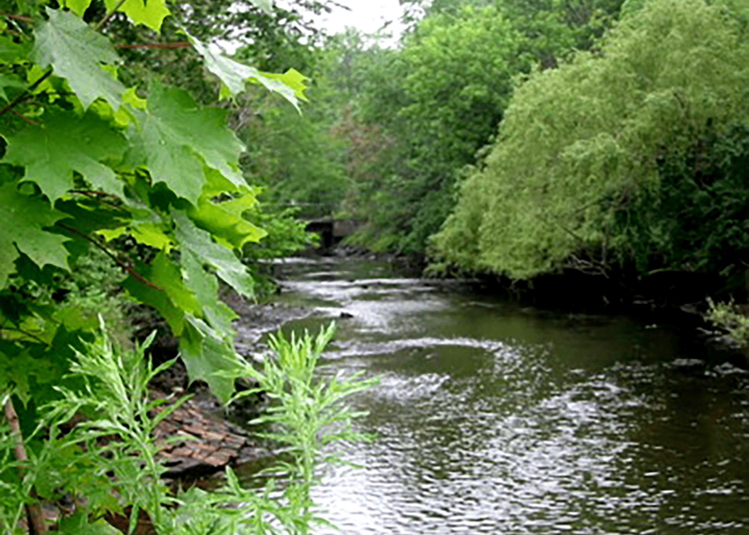 Riverhead of North River in Salem, Massachusetts