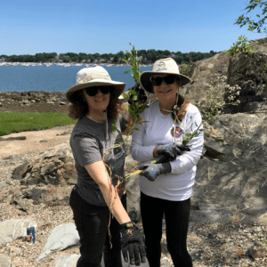 Volunteers show invasive peppered plants they pulled along the shores at Forest River Park in Salem, Massachusetts