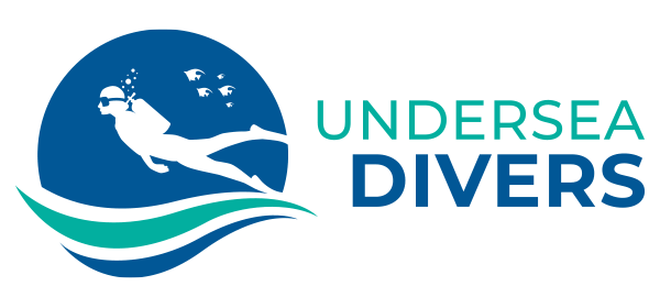 Undersea Divers