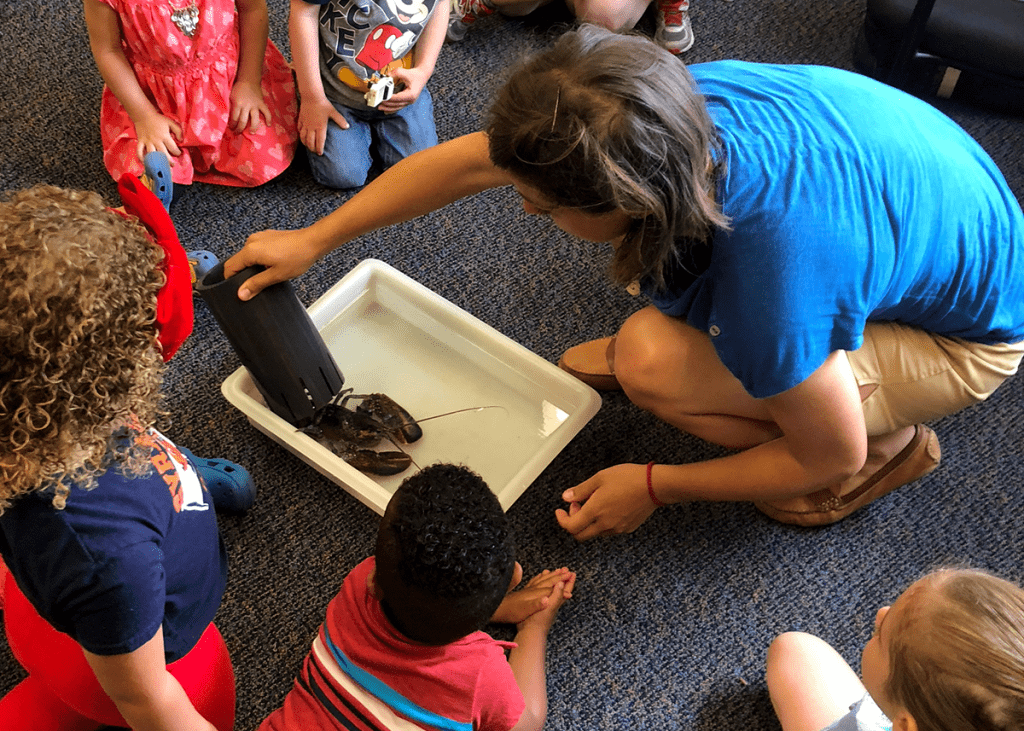 A volunteer shows a group of students a lobster.