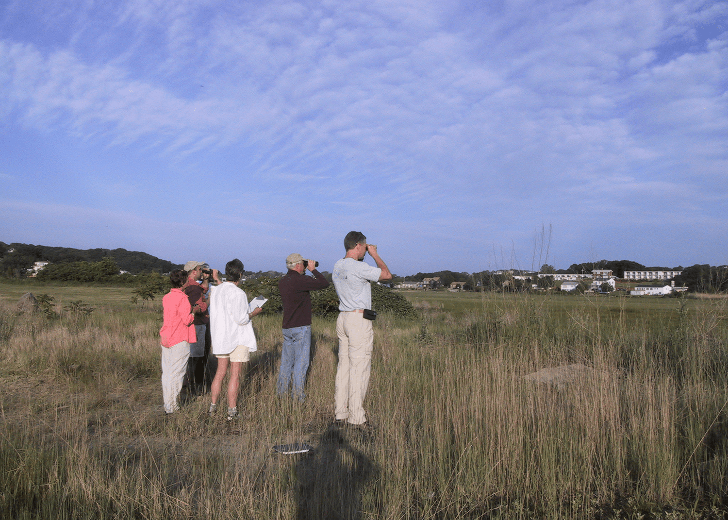People monitoring bird species in Salem Sound.
