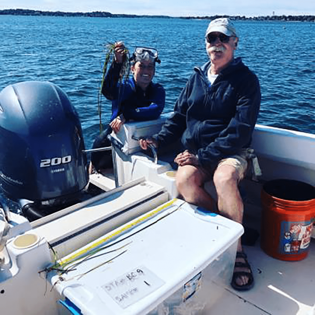 Citizen scientists on a boat and in the water grabbing samples of eelgrass from Salem Sound for research and study.