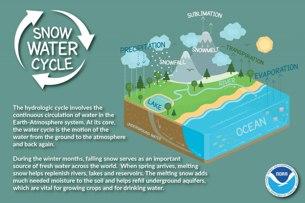 Infographic depicting a "Snow Water Cycle"