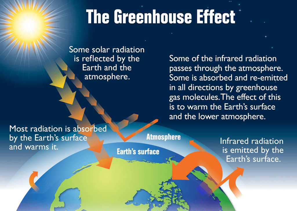 Infographic depicting the greenhouse effect on Earth.