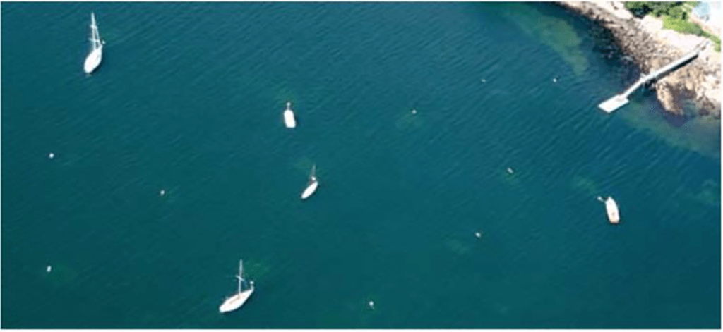 Description: Moorings in eelgrass beds leave visible scars, called doughnut holes, from the movement of the mooring chains (SSCW)