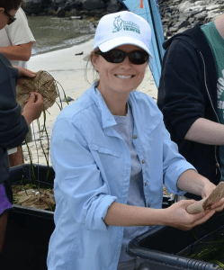 School to Sea Healthy Harbors students and teachers spent a day planting eelgrass in the shallow waters of Essex Bay with the Massachusetts Bay Partnership.