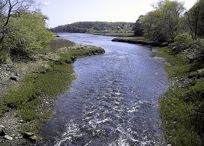 Photo of Forest River flowing between the Salem and Marblehead still has a natural floodplain.