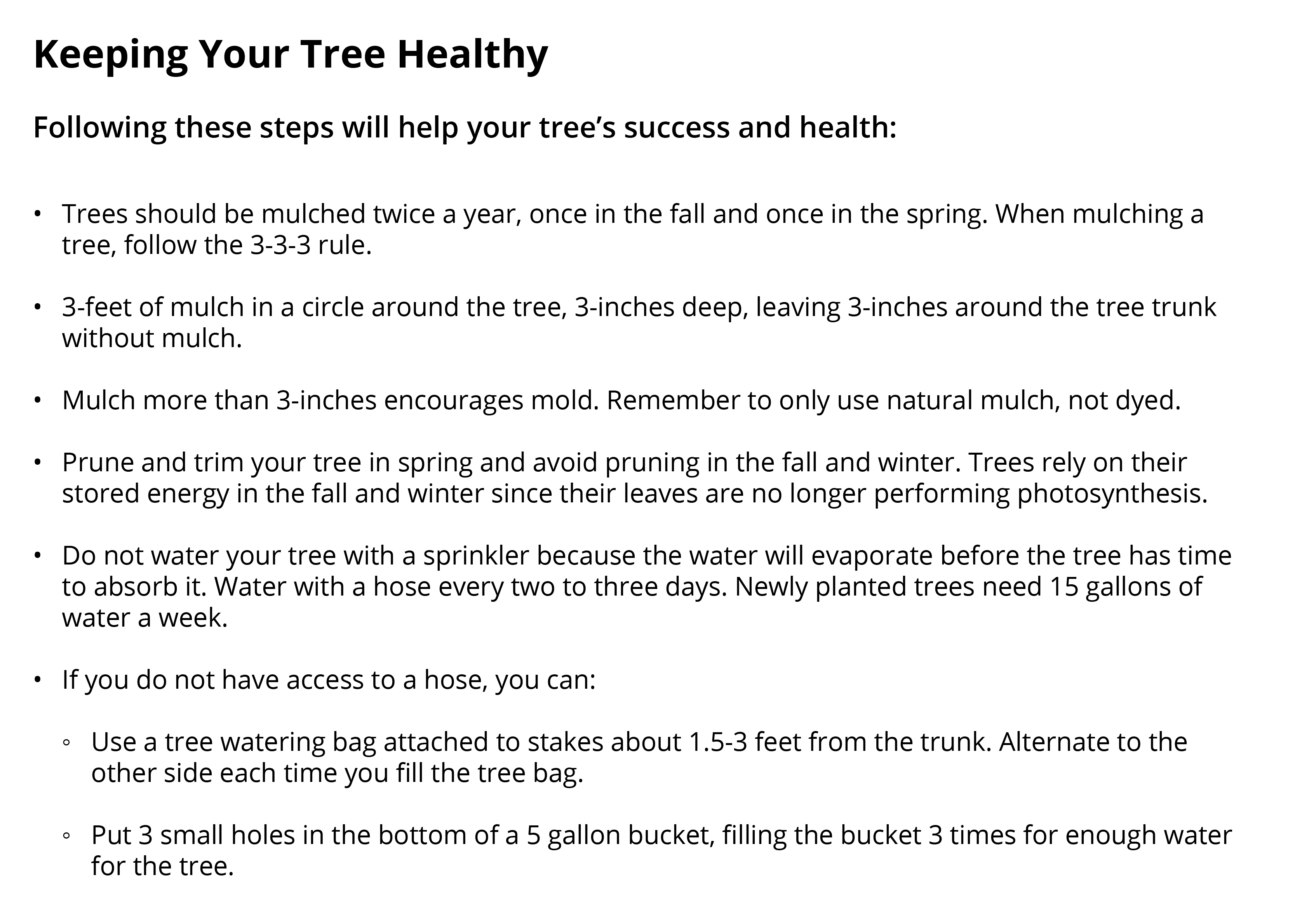 Tree Canopies Salem Sound Coastwatch