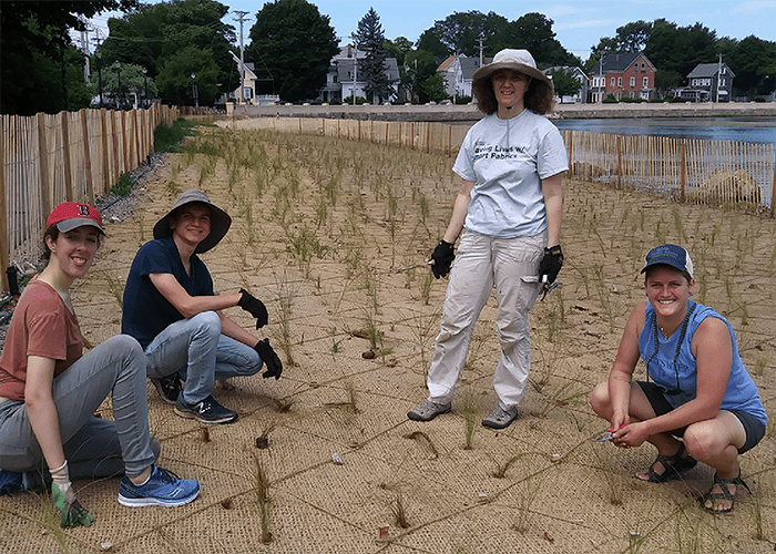 Shoreline Planting at Collins Cove.
