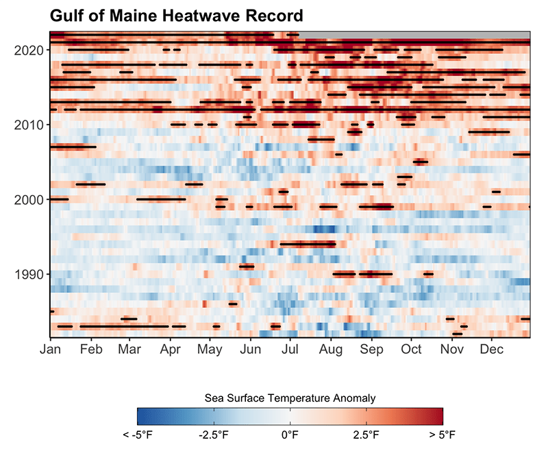 Gulf of Maine Heatwave Record Heatmap
