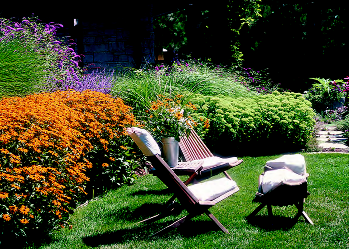 A beautiful backyard with a rain garden.