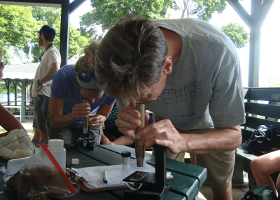 Teacher looking through a microscope.