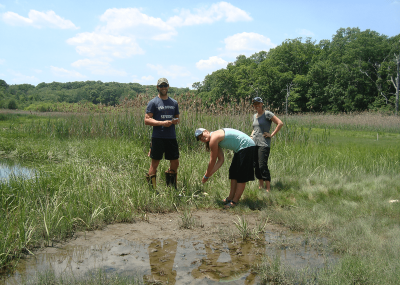 SSCW staff educators and teachers in a Salt Marsh